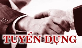 Công ty chúng tôi cần tuyển các  vị trí 