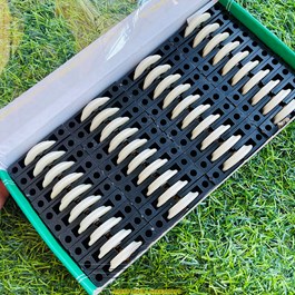 Bánh Xe Chữ T Loại To
