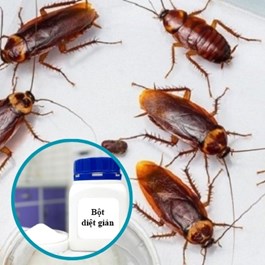 Bột Diệt Gián Tận Gốc