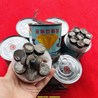 Hộp Mài Sàn Bê Tông 16 Viên