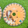 Đĩa Cắt Bê Tông Nhật Tiger 360mm màu Vàng