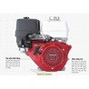 Động Cơ Xăng Máy Đầm Cóc Honda GX160