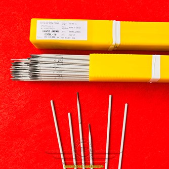 Que Hàn Inox E308L-16*2,5mm dài 300mm